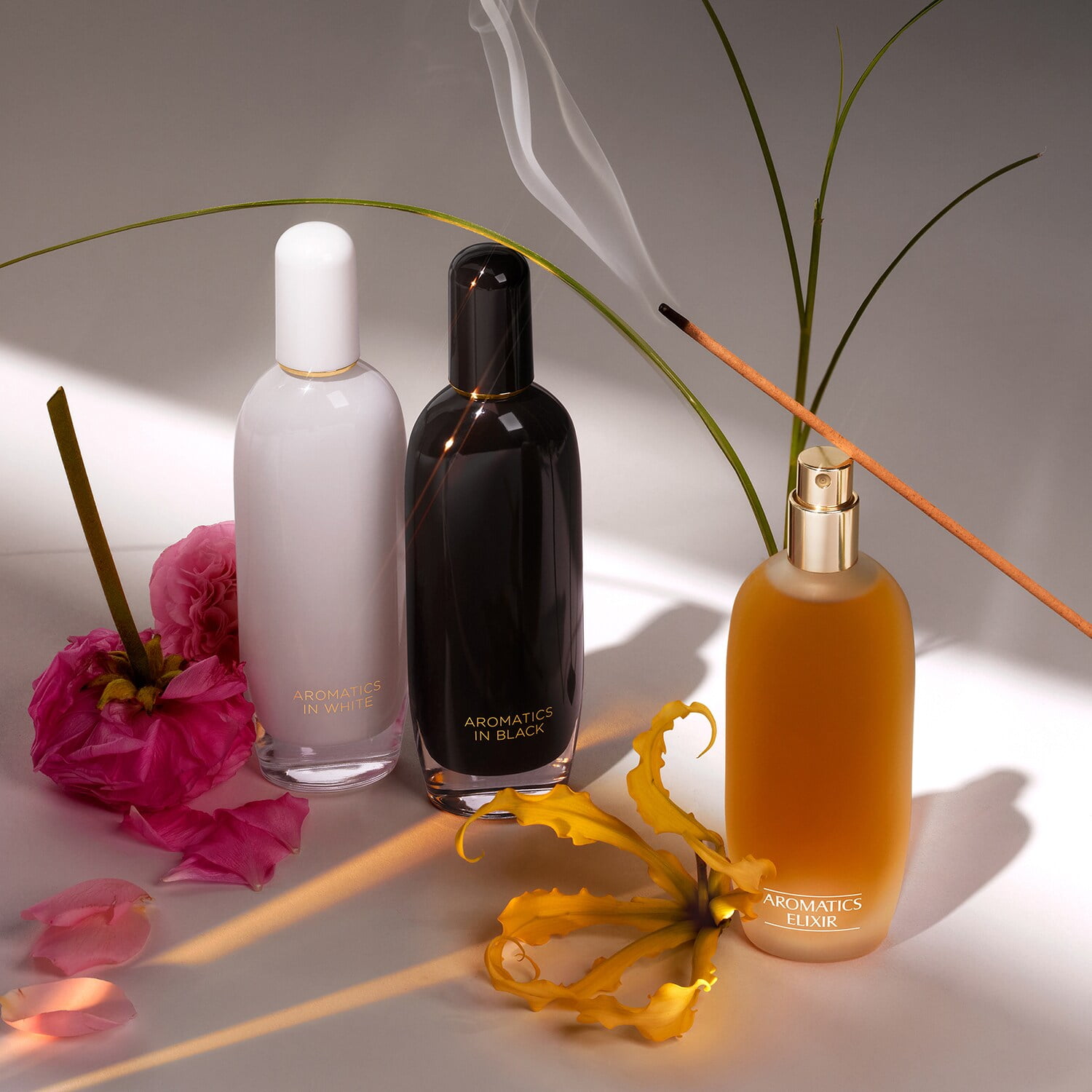 Aromatics in White - Eau de Parfum - Görsel 3