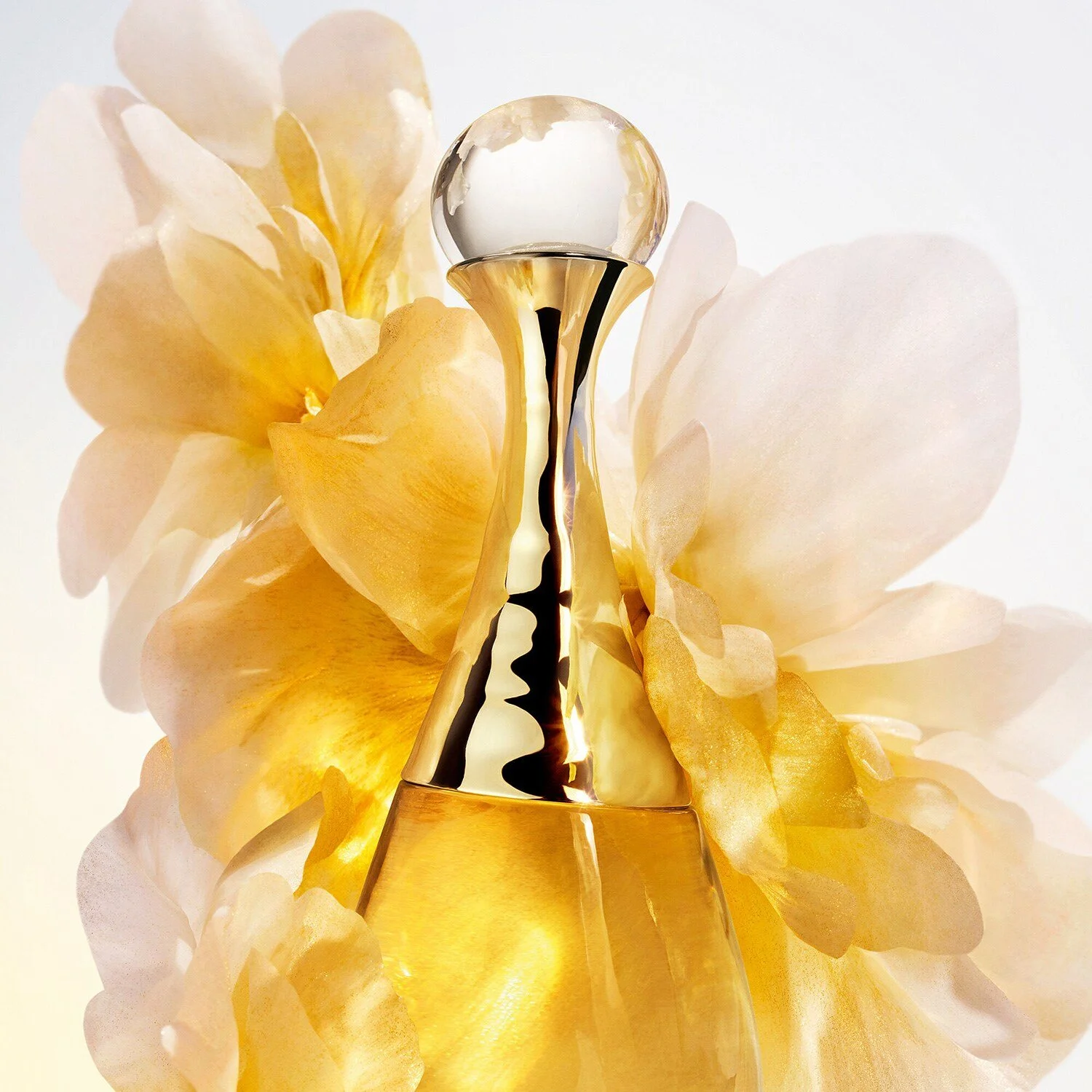 J'adore L'Or - Essence de Parfum - Pitane Parfüm
