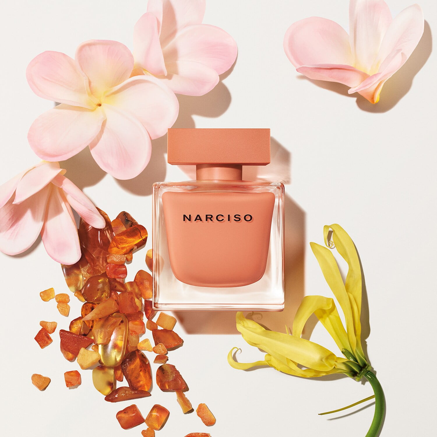 Narciso Ambrée - Eau de Parfum - Görsel 3