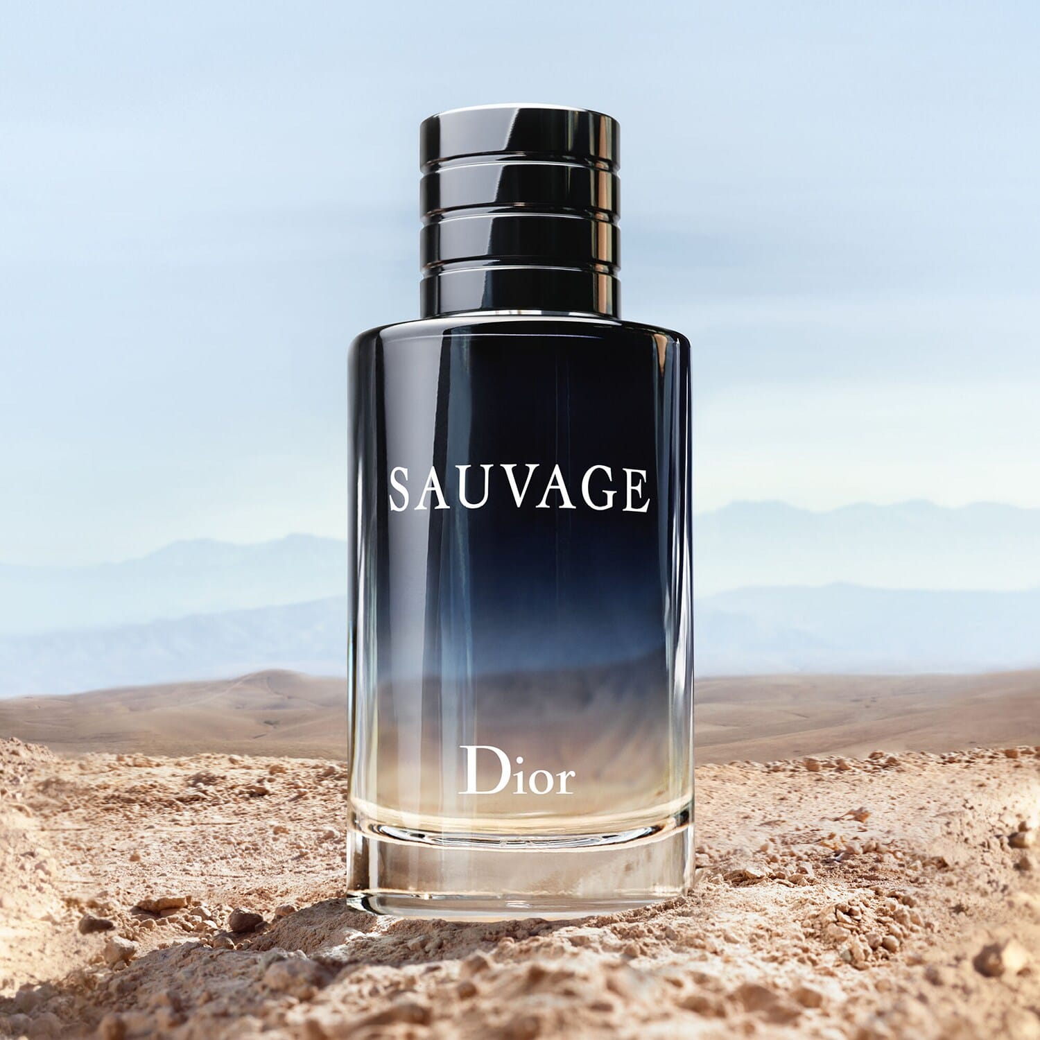Sauvage - Eau de Toilette - Görsel 3